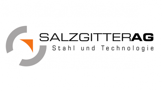 Salzgitter logo shape