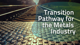 Transition Pathway Metals