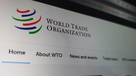 WTO reform