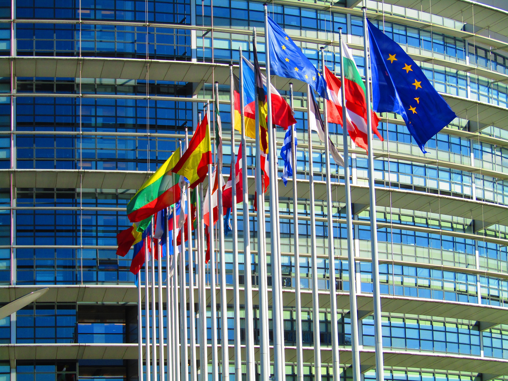 Eu trade policy reform
